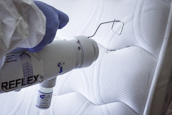 disinfestazione-cimici-dei-letti-milano-1